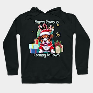 Santa Paws is Coming to Town Hoodie